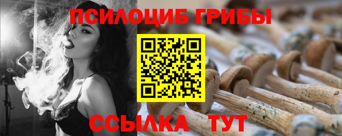 Галлюциногенные грибы мицелий  Вход с VPN  Ипатово  Галлюциногенные грибы GOLDEN TEACHER 